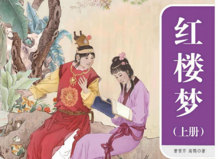 一本好书 红楼梦上-51掌控未来