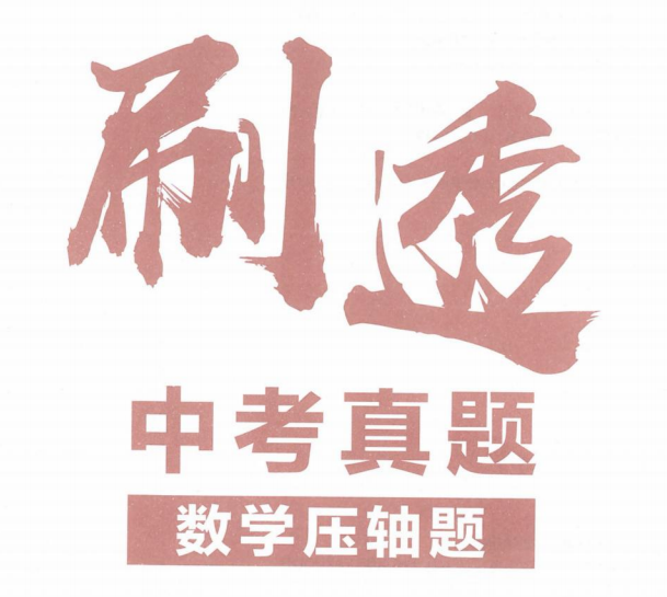 作业帮刷透中考真题数学压轴题 数学-51掌控未来